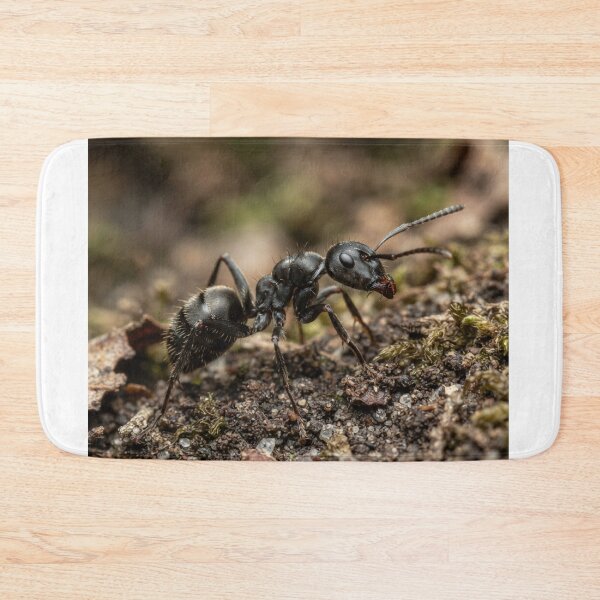Item preview, Ant designed and sold by KRIDD-DESIGN.