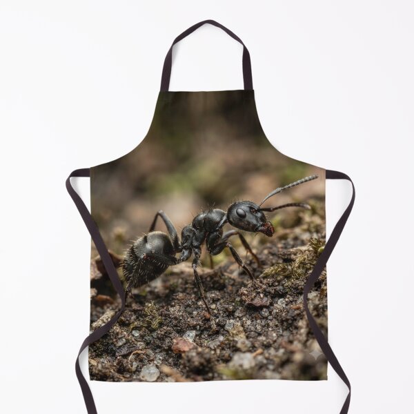 Item preview, Ant designed and sold by KRIDD-DESIGN.