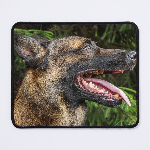 Item preview, Focused Loyalty designed and sold by MariaAbaza.