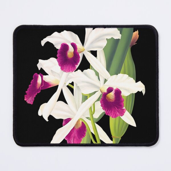 Item preview, Cattleya purpurata T-Shirt, A Beautiful Brazilian Specie designed and sold by GreenVerseStore.