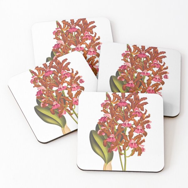 Item preview, Tshirt Cattleya elongata, one beautiful brazilian specie. designed and sold by GreenVerseStore.