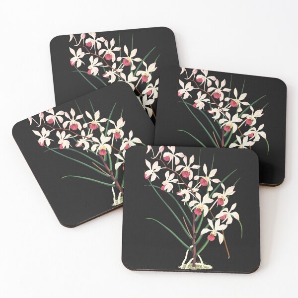 Item preview, Holcoglossum kimballianum Illustration, One Beautiful Orchid designed and sold by GreenVerseStore.