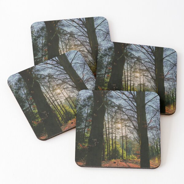 Item preview, Sunlight Bursting Through Dark Trees designed and sold by ShotsbyDesiree.