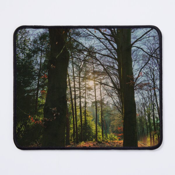 Item preview, Sunlight Bursting Through Dark Trees designed and sold by ShotsbyDesiree.