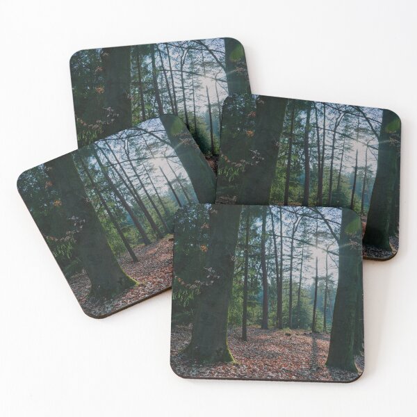 Item preview, Sunstar and Long Shadows in Autumn Woodland designed and sold by ShotsbyDesiree.