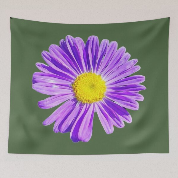 Item preview, Vibrant Purple Aster Flower Head Isolated on White designed and sold by BalkanBloom.