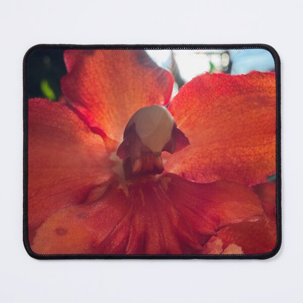 Item preview, Fiery Orchid Bloom designed and sold by Betsy Phillips.