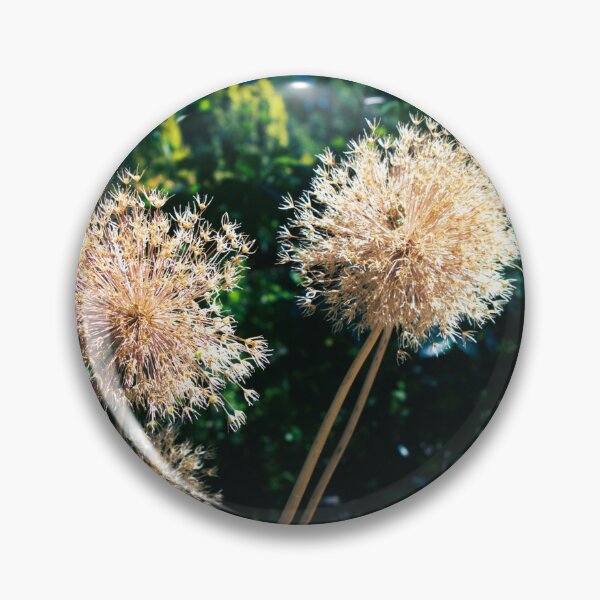 Item preview, Allium photograph designed and sold by Natimo-Studio.