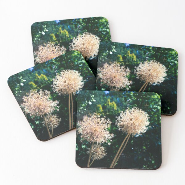 Item preview, Allium photograph designed and sold by Natimo-Studio.
