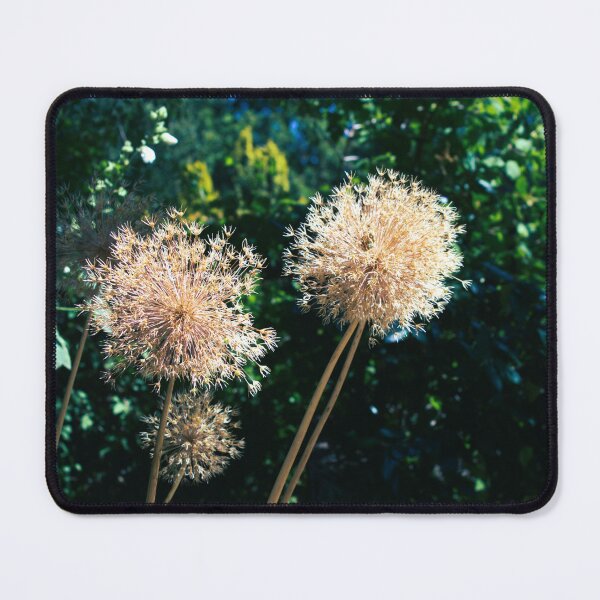 Item preview, Allium photograph designed and sold by Natimo-Studio.