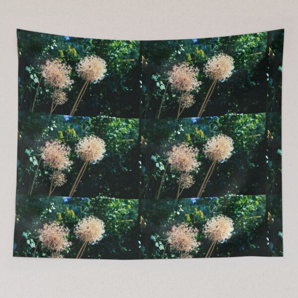 Item preview, Allium photograph designed and sold by Natimo-Studio.