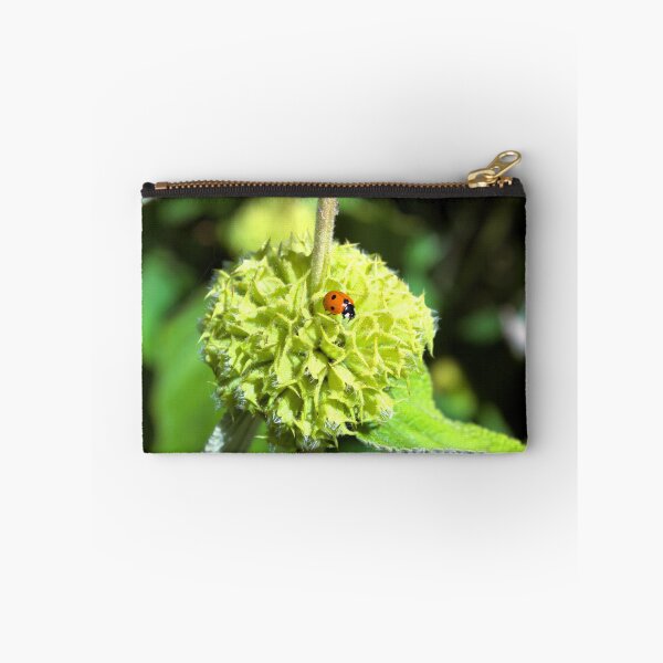 Item preview, Ladybird on green plant photograph designed and sold by Natimo-Studio.