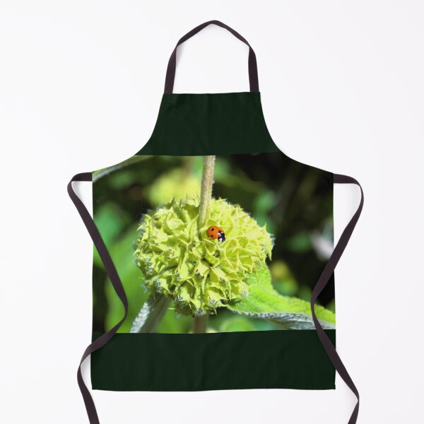 Item preview, Ladybird on green plant photograph designed and sold by Natimo-Studio.