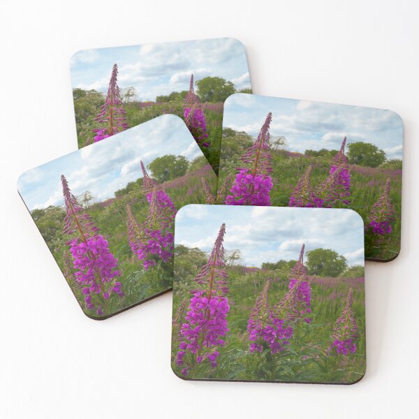 Item preview, Rosebay Willowherb in Full Bloom | Barnack Hills and Holes, Cambridgeshire designed and sold by MikeWalksUK.