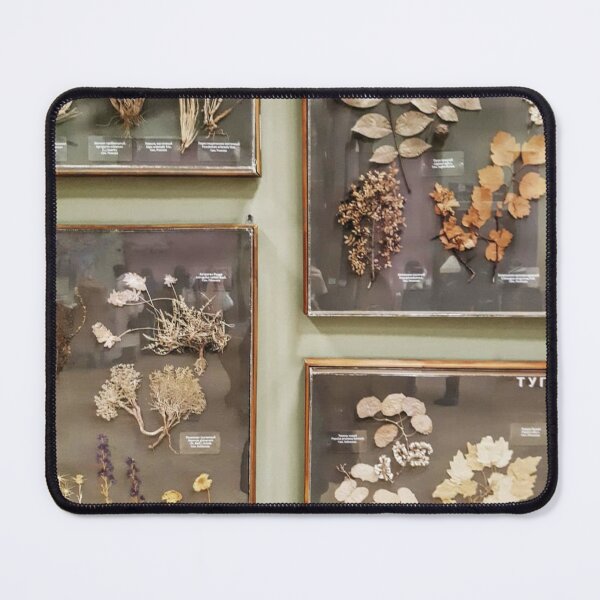 Item preview, Herbal Boston University bMeadow Calm designed and sold by Wieckmananddoc.
