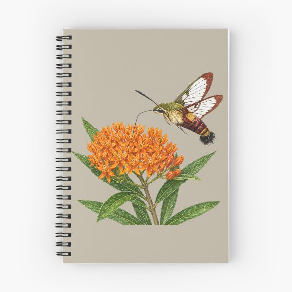 Item preview, Hummingbird Moth on Butterfly Weed Nature Study designed and sold by BloomStudio1.