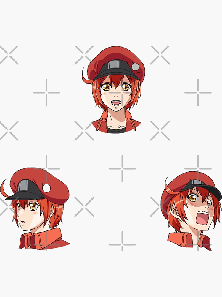 Hataraku saibou, cells at work!