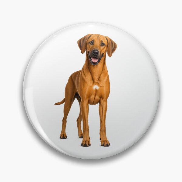 Item preview, Rhodesian Ridgeback Dog designed and sold by BackgroundND.