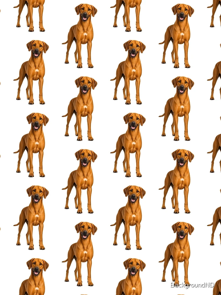 Imagen 5 de 5, Vestido acampanado con la obra Perro Ridgeback de Rodesia, diseñada y vendida por BackgroundND.