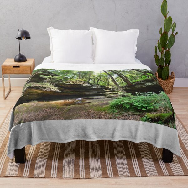 Item preview, Hocking Hills State Park Landscape designed and sold by LisaWootenPhoto.