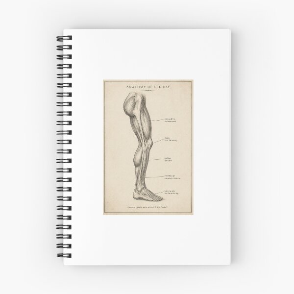 Item preview, Anatomy of Leg Day designed and sold by FBA.