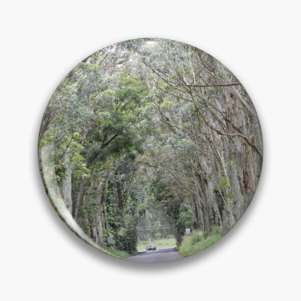 Item preview, Eucalyptus Tree Tunnel, Kauai, Hawaii designed and sold by Catherine Sherman.