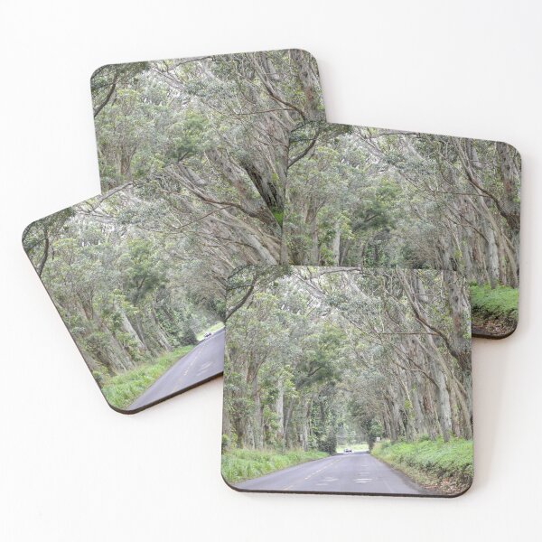 Item preview, Eucalyptus Tree Tunnel, Kauai, Hawaii designed and sold by Catherine Sherman.