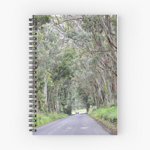 Item preview, Eucalyptus Tree Tunnel, Kauai, Hawaii designed and sold by Catherine Sherman.