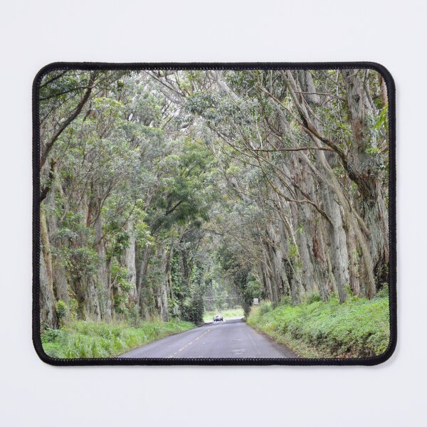 Item preview, Eucalyptus Tree Tunnel, Kauai, Hawaii designed and sold by Catherine Sherman.