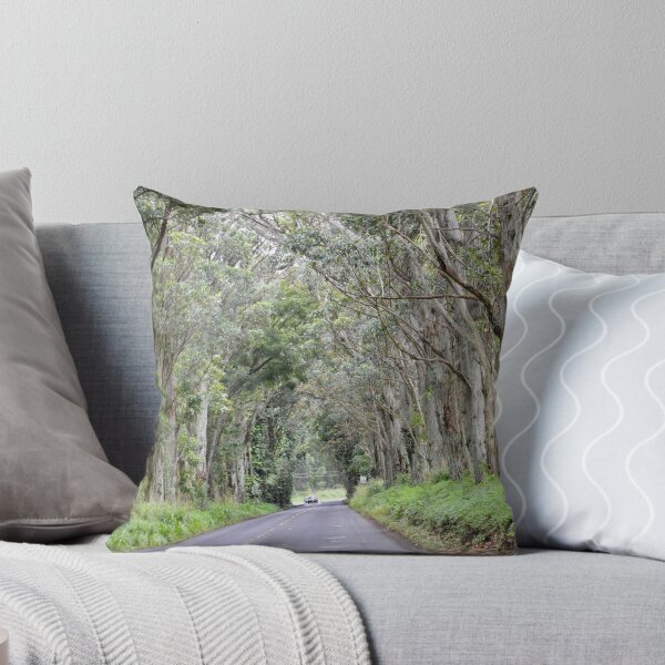 Item preview, Eucalyptus Tree Tunnel, Kauai, Hawaii designed and sold by Catherine Sherman.