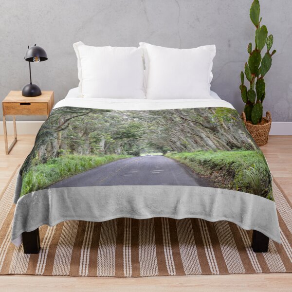 Item preview, Eucalyptus Tree Tunnel, Kauai, Hawaii designed and sold by Catherine Sherman.