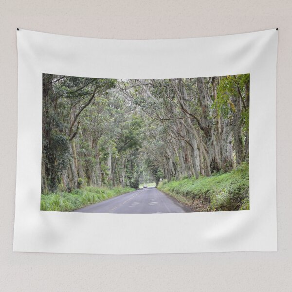Item preview, Eucalyptus Tree Tunnel, Kauai, Hawaii designed and sold by Catherine Sherman.