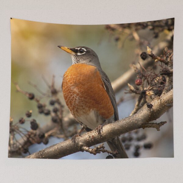 Item preview, American Robin designed and sold by Kimberly Palmer.