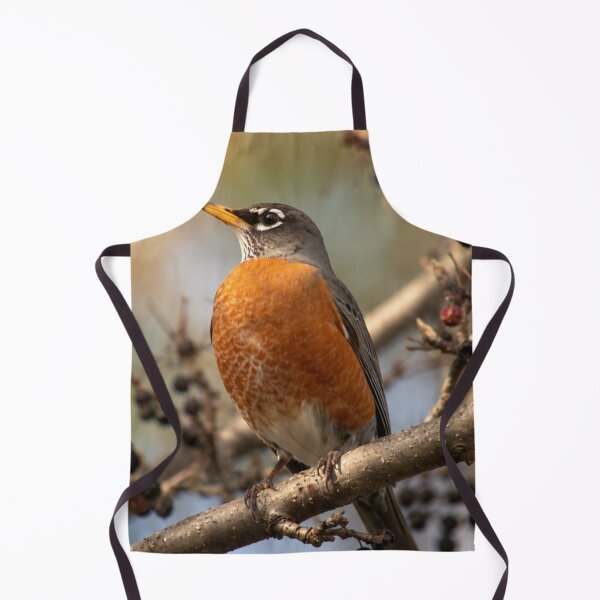 Item preview, American Robin designed and sold by Kimberly Palmer.