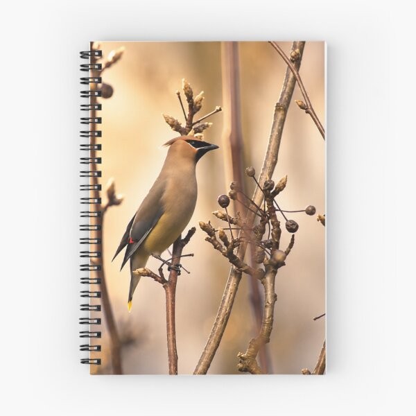 Item preview, Cedar Waxwing designed and sold by Kimberly Palmer.