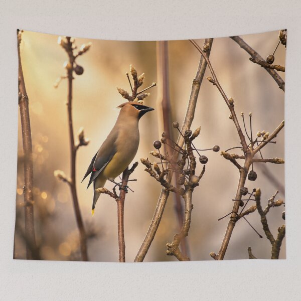 Item preview, Cedar Waxwing designed and sold by Kimberly Palmer.