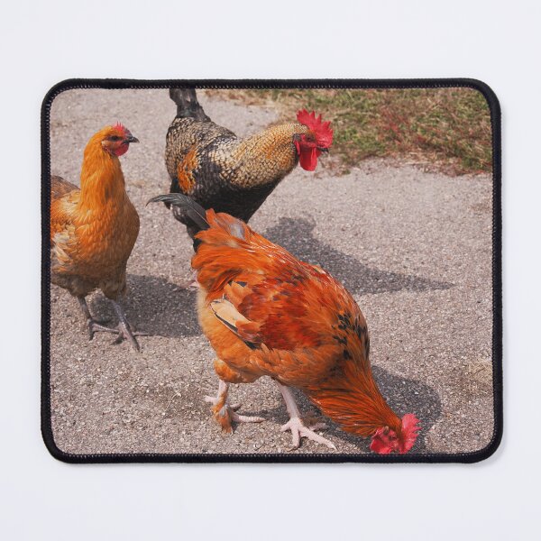 Item preview, Cockerels designed and sold by dagabhriel.