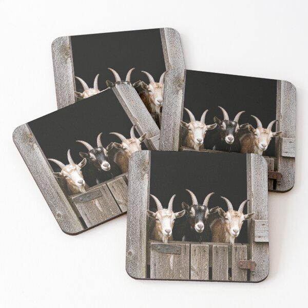 Item preview, Goat Photography Rustic Farm Animals Country Barn Scene Homestead Lifestyle Rural Animal Portrait Farmhouse Design designed and sold by Kzara Visual.