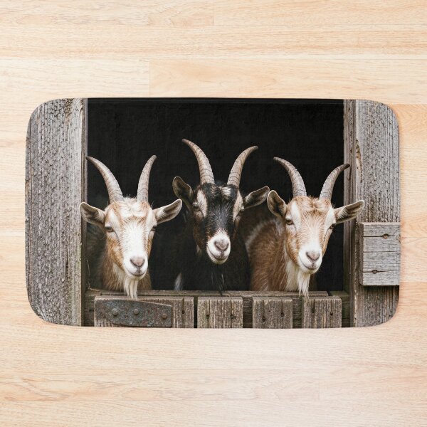 Item preview, Goat Photography Rustic Farm Animals Country Barn Scene Homestead Lifestyle Rural Animal Portrait Farmhouse Design designed and sold by Kzara Visual.