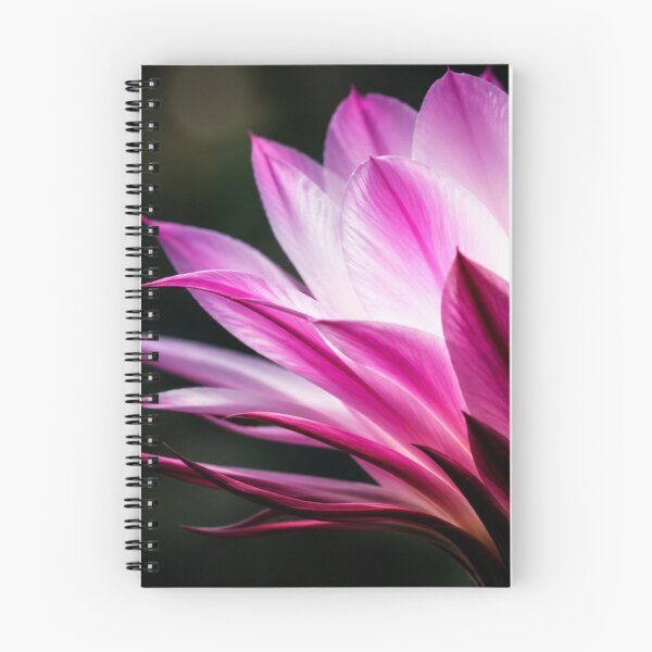 Item preview, Radiant Pink Blossom | Fine Art Botanical Floral designed and sold by Kimberly Palmer.