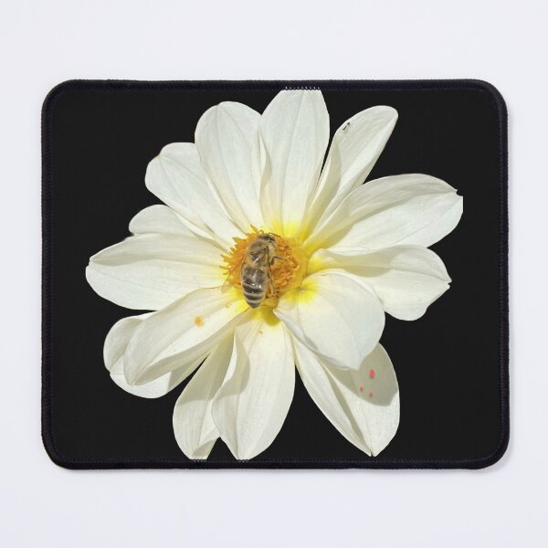 Item preview, White Dahlia Flower with Honeybee Pollinating designed and sold by BalkanBloom.