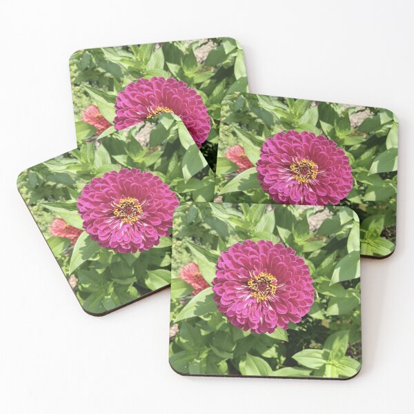 Item preview, Vivid Zinnia Flower Photo designed and sold by DanielleGensler.