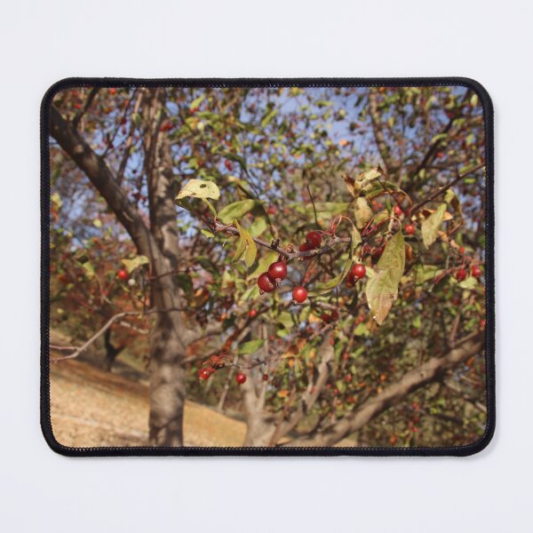 Item preview, Crab Apple Tree designed and sold by HKGimages.