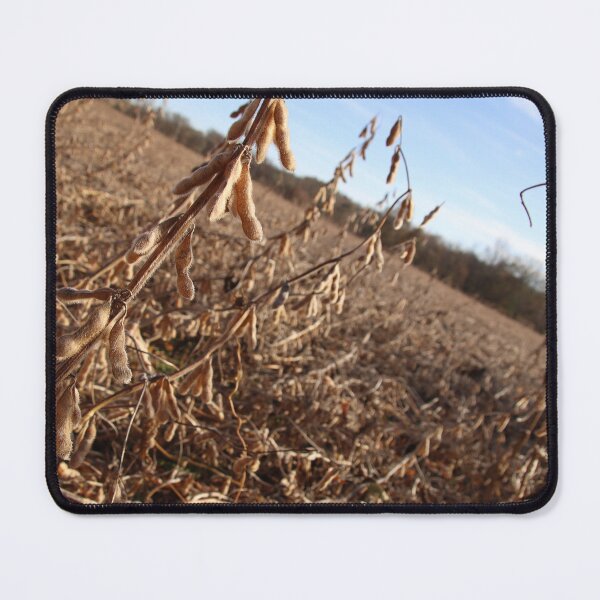 Item preview, Soybean Field designed and sold by HKGimages.