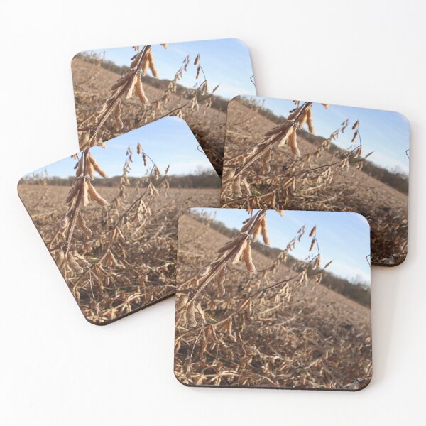 Item preview, Soybean Field  designed and sold by HKGimages.