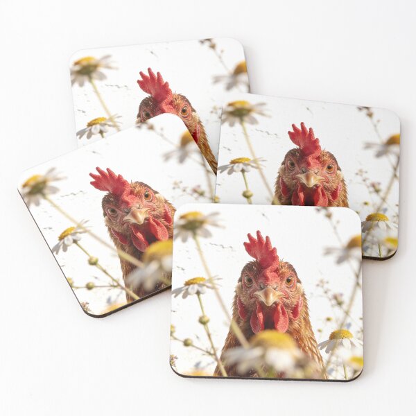 Item preview, Chicken Photography Wildflower Meadow Backyard Hen Portrait Country Garden Farm Life Rustic Animal Photo designed and sold by Kzara Visual.