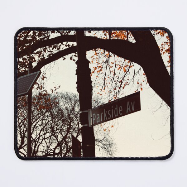 Item preview, street sign in Brooklyn designed and sold by mizz67Ladder.