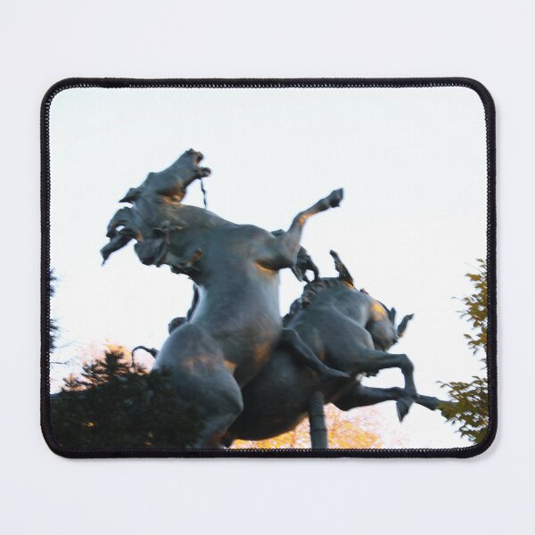 Item preview, cool statue at prospect park angled designed and sold by mizz67Ladder.
