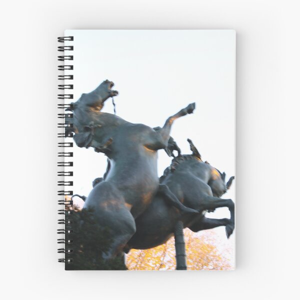 Item preview, cool statue at prospect park angled designed and sold by mizz67Ladder.