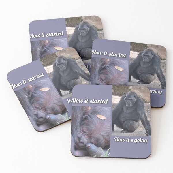 Item preview, Gus How it started/How it's going  designed and sold by Sharon the Zoo Lady Photography .